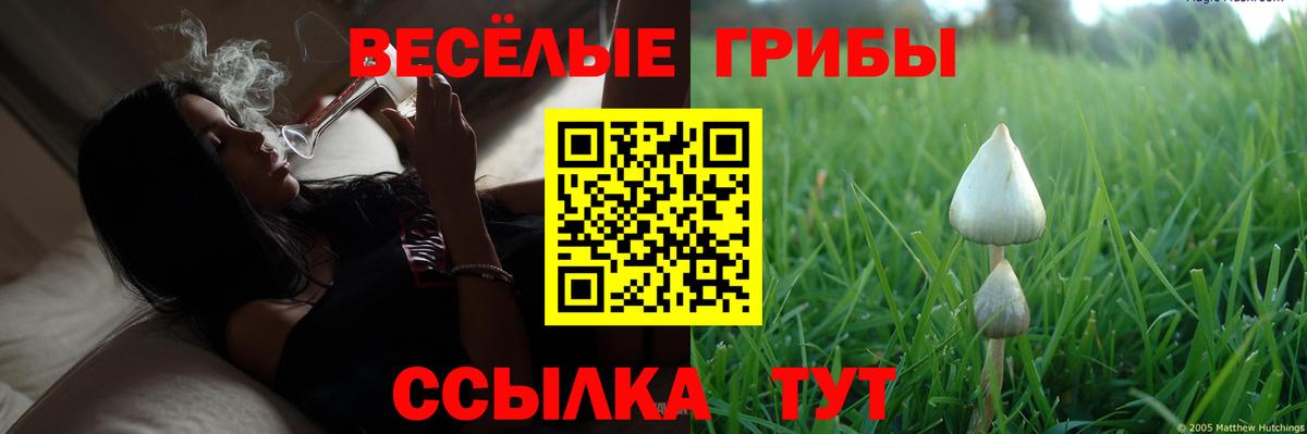 Галлюциногенные грибы мухоморы  как найти закладки  Нурлат  Вход с VPN  Галлюциногенные грибы Psilocybe 